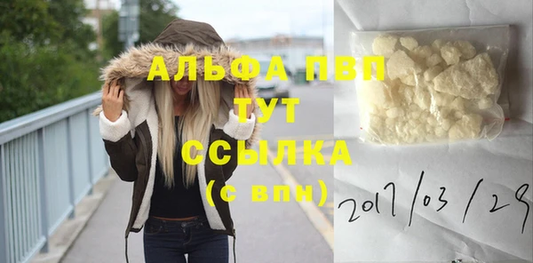 кокс Белокуриха