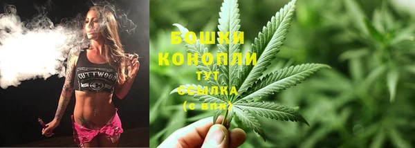 индика Белоозёрский