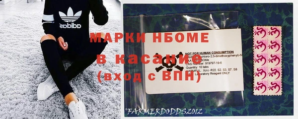 индика Белоозёрский