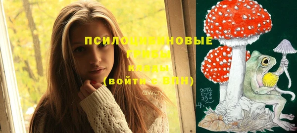 индика Белоозёрский