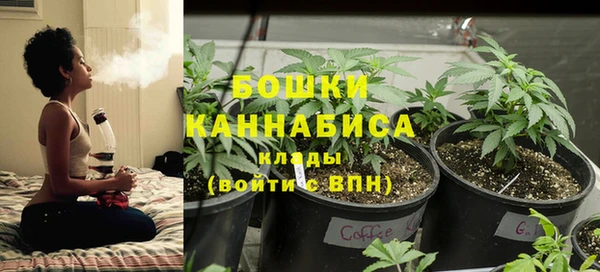 индика Белоозёрский