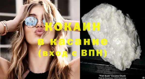 индика Белоозёрский