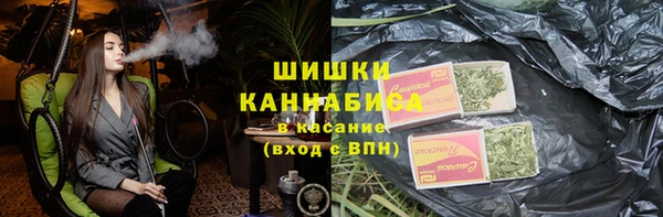 индика Белоозёрский