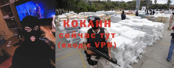 индика Белоозёрский