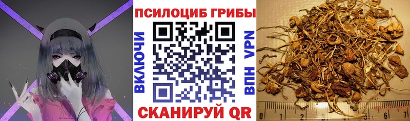 гидра ССЫЛКА  Вуктыл  Галлюциногенные грибы Psilocybine cubensis 